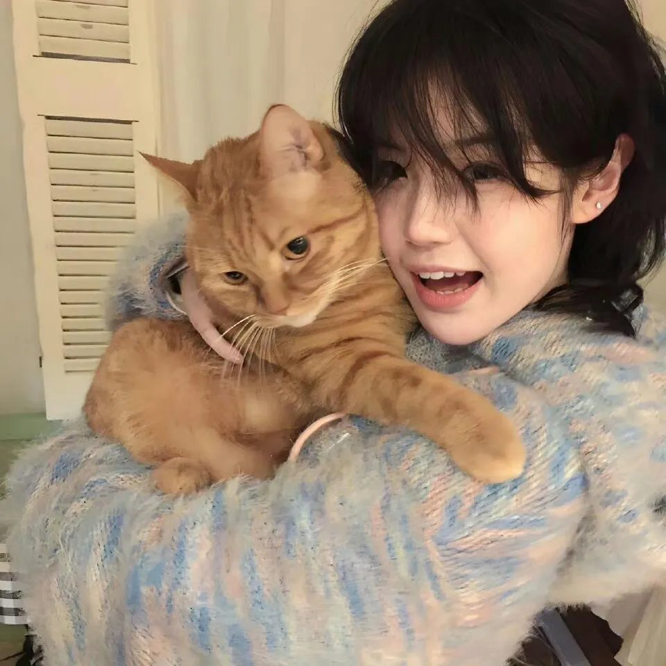 晴天小猪